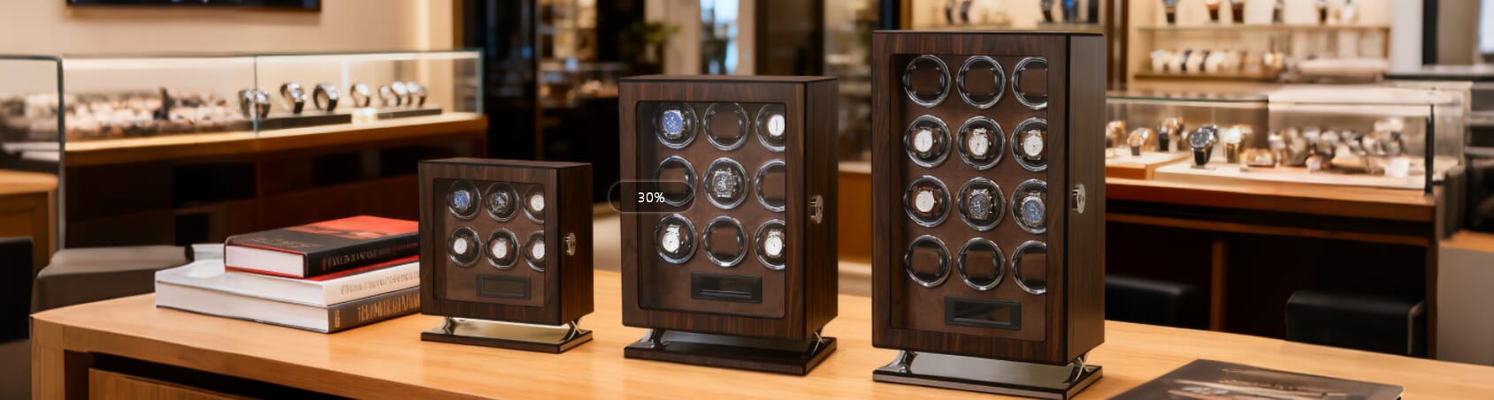 watch winder box